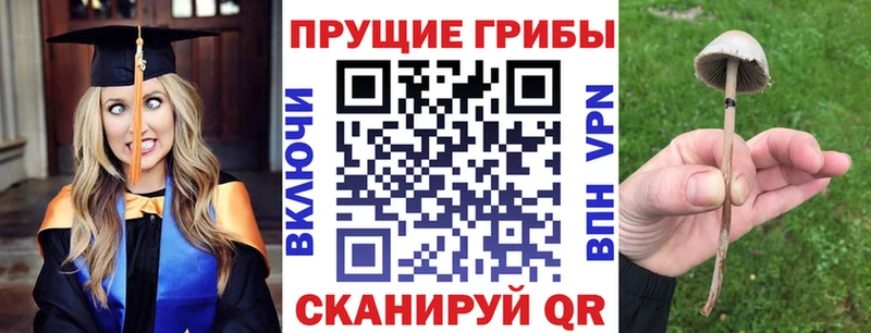 Псилоцибиновые грибы Psilocybe  продажа наркотиков  Ряжск 
